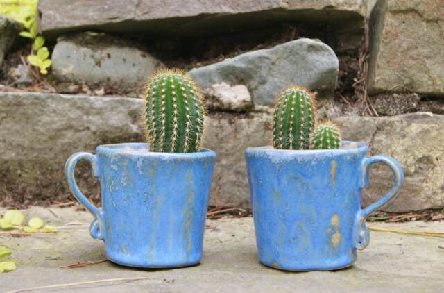 Ceramic Turquoise Pot Cactus, Cover, Hand Made Ceramic Pot, Mini Flower Pot Succulent Planter, Birthday Gift - image 1