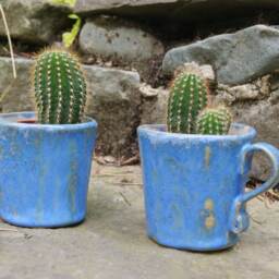 Ceramic Turquoise Pot Cactus, Cover, Hand Made Ceramic Pot, Mini Flower Pot Succulent Planter, Birthday Gift - thumbnail 2