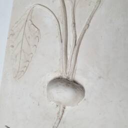 Tile Beet Cast. Botanical Decorative Unique Plaster Wall Art Frame Wood Concrete Impression Pressed Flowers Eco Friendly - thumbnail 3