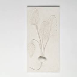 Tile Beet Cast. Botanical Decorative Unique Plaster Wall Art Frame Wood Concrete Impression Pressed Flowers Eco Friendly - thumbnail 2