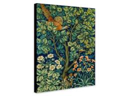 Vintage Peacock Art Print By Sir William Jardine - Wrapped Canvas Or Rolled - thumbnail 1