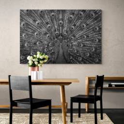 Peacock Bird - Monochrome Wrapped Framed Canvas Rolled Photo/Poster Print - thumbnail 2