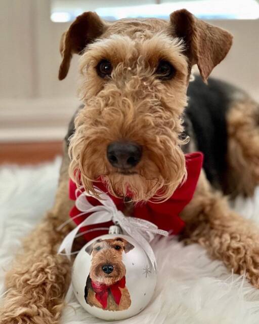 Custom Pet Portrait Ornament Hand-Painted Christmas Ball, Memorial - image 1