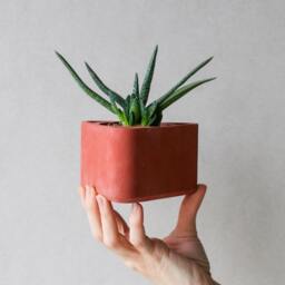 Terracotta Red Concrete Triangle Planter - Minimalist Pot Succulent Plant Prismatic Plant Lovers Gift Idea - thumbnail 2
