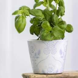 Light Blue Dutch Pot - 3 Designs Geometric Design Crackle Glaze Plant Rustic Cover Succulent Planter - thumbnail 3