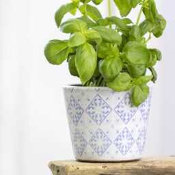 Light Blue Dutch Pot - 3 Designs Geometric Design Crackle Glaze Plant Rustic Cover Succulent Planter - thumbnail 2