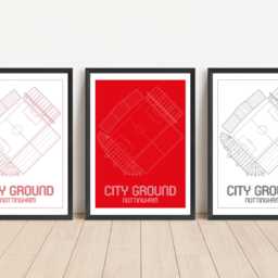 Nottingham Forest - City Ground Contemporary Print Design 3 Colour Options A5 A4 A3 30x40cm - thumbnail 3