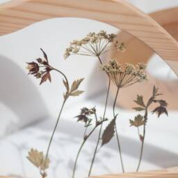 Pressed Flower Wall Art - Set Of Flower Frames Wavy Decor Set Herbarium Frame Botanical - thumbnail 4