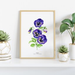 Pansy Flower Art Print - Plant Wall D??cor- Bathroom Bedroom Nursery Kitchen Girls Room Floral Prints Gift For Her Purple Viola Painting - thumbnail 2