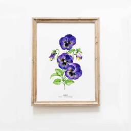 Pansy Flower Art Print - Plant Wall D??cor- Bathroom Bedroom Nursery Kitchen Girls Room Floral Prints Gift For Her Purple Viola Painting - thumbnail 1