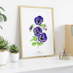Pansy Flower Art Print - Plant Wall D??cor- Bathroom Bedroom Nursery Kitchen Girls Room Floral Prints Gift For Her Purple Viola Painting - thumbnail 3