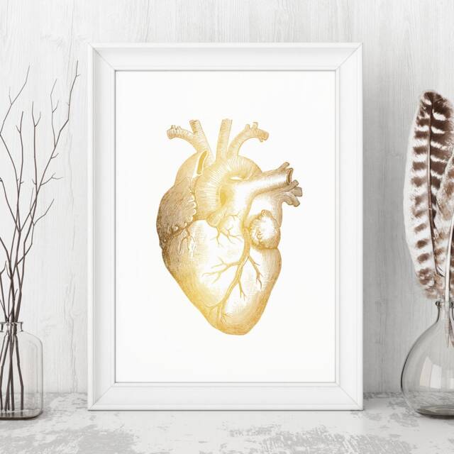 Gold Foil Anatomical Heart Art Print Medical Office Decor - image 1