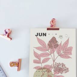 2026 Wall Calendar, Botanical Gift, Calendar 2026, Gift For Her, Rose Gold Clip, Floral Set Copper Decor - thumbnail 3