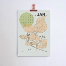 2026 Wall Calendar, Botanical Gift, Calendar 2026, Gift For Her, Rose Gold Clip, Floral Set Copper Decor - thumbnail 2