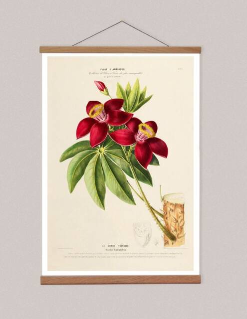 Botanical Canvas Print, American Flowers, Oak Magnetic Hanger - image 1