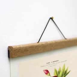 Botanical Canvas Print, American Flowers, Oak Magnetic Hanger - thumbnail 3