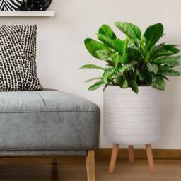 Concrete Tripod Planter With Wooden Legs, White Rattan Weave Indoor Plant Pot, Modern Cylinder Scandinavian - thumbnail 3