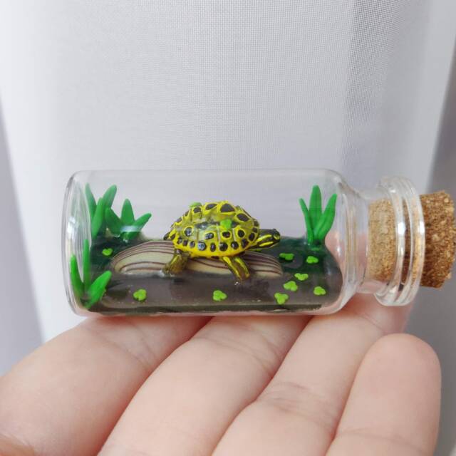 Indian Eyed Turtle in A Glass-Bottle/Unique Miniature Figure/ Handmade Artwork - image 1