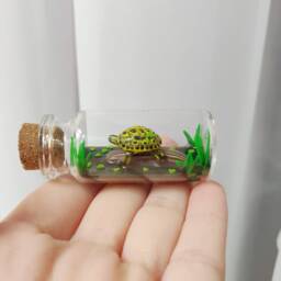 Indian Eyed Turtle in A Glass-Bottle/Unique Miniature Figure/ Handmade Artwork - thumbnail 3