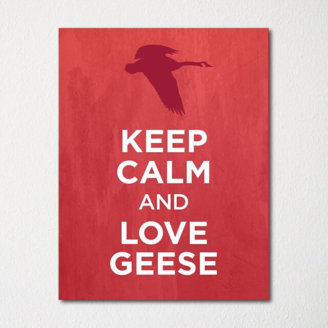 Keep Calm & Love Geese - Fine Art Print Choice Of Color Purchase 3 Receive 1 Free - image 1