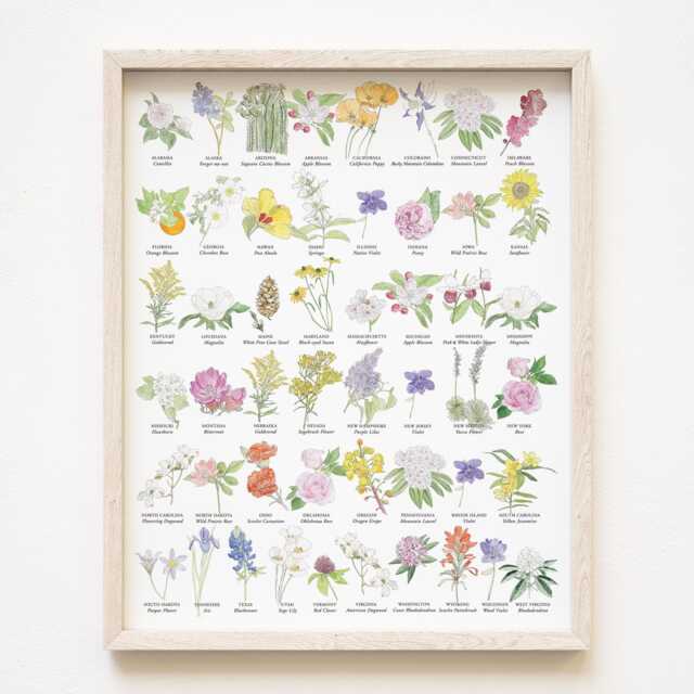 state Flower Art Chart - Art Print 50 Flowers America Usa Wildflowers Wedding Moving Gift Floral Wall Decor Mothers Day Teacher - image 1