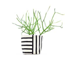 Black Two Way Stripe Planter, 4 - thumbnail 1