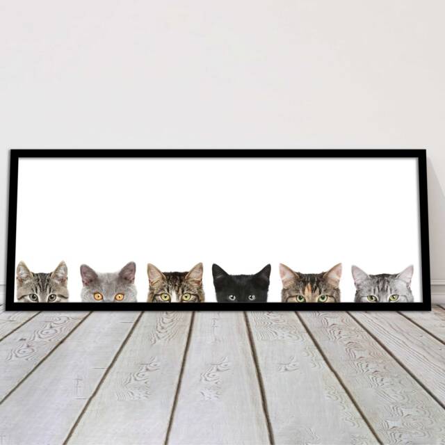 Cute Kittens Peeking Panoramic Canvas - Adorable Cat Trio Wall Art - image 1