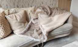 Handmade Faux Fur Throw Cream & Brown Oatmeal, Beige Fleece Lining - thumbnail 1