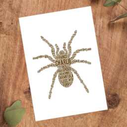 Personalised Tarantula Word Art Print, Spider Lover Gift, Custom Wall Framed Picture, Present For Men, Women Nl - thumbnail 3