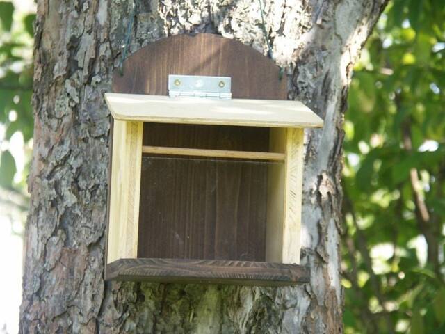 Squirrel Feeding Box Bird Feeder Color Natural - image 1