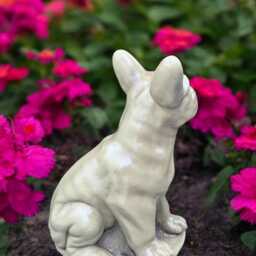 Concrete French Bulldog Statue Stone Frenchie Figurine Cement Dog Sculpture Outdoor Yard Ornament Pet Memorial Decor Dog Lover Gift - thumbnail 4