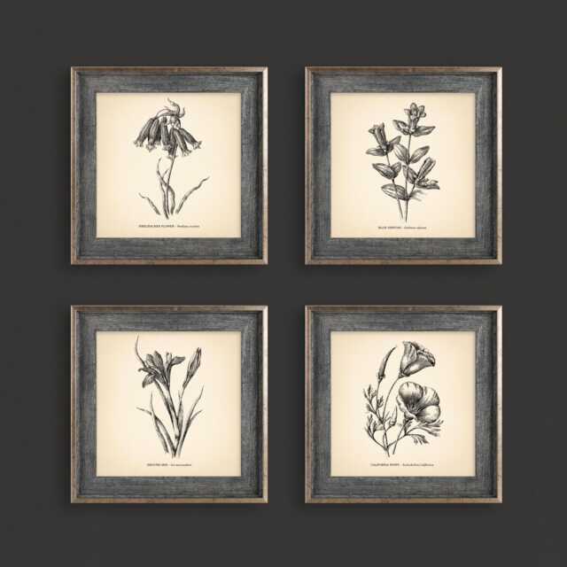 8x8'' Vintage Botanical Prints Set Of 4 Poster Wildflower Print Flower Art Neutral Decor - image 1