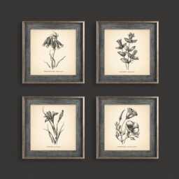 8x8'' Vintage Botanical Prints Set Of 4 Poster Wildflower Print Flower Art Neutral Decor - thumbnail 1