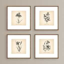 8x8'' Vintage Botanical Prints Set Of 4 Poster Wildflower Print Flower Art Neutral Decor - thumbnail 3
