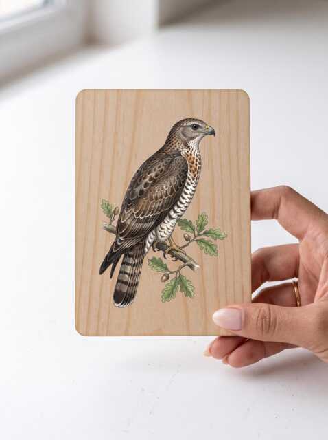 Honey Buzzard Art Print - Vintage Woodland Bird Of Prey Pine Wooden Postcard Wall - image 1