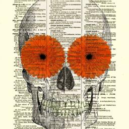 Dictionary Art Print, Skull With Gerbera Daisies, Halloween Decor - thumbnail 3