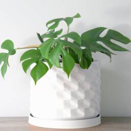 "Geometric Planter With Drainage & Saucer in White, Unique 3D-Printed Plant Pot, Small To Large Sizes 4"" 5"" 6"" 7"" 8" - thumbnail 3