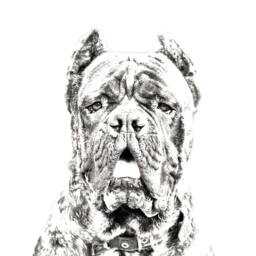 Cane Corso, Italian Mastiff - Wooden Stand For Candles/Pens With The Image Of A Dog New Collection - thumbnail 2