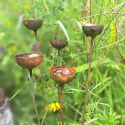 Rustic Bee & Butterfly Water Cups Wildlife Garden Art, Set Of 3/5 - thumbnail 3