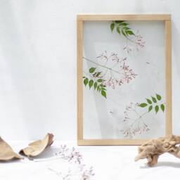 Lilac Moments - Pressed Flowers Art Framed Botanicals Real Flowers Herbarium Flower Frame Wall Decor Set - thumbnail 2