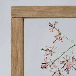Lilac Moments - Pressed Flowers Art Framed Botanicals Real Flowers Herbarium Flower Frame Wall Decor Set - thumbnail 4