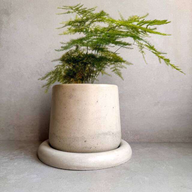 Concrete Planter With Saucer, Modern Plant Pot, Bubble Planter, Decorative Cement Minimalist Pot Drainage, Nordic Chunky - image 1