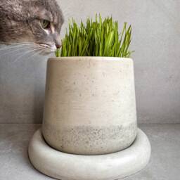 Concrete Planter With Saucer, Modern Plant Pot, Bubble Planter, Decorative Cement Minimalist Pot Drainage, Nordic Chunky - thumbnail 3