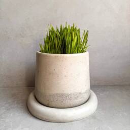 Concrete Planter With Saucer, Modern Plant Pot, Bubble Planter, Decorative Cement Minimalist Pot Drainage, Nordic Chunky - thumbnail 2
