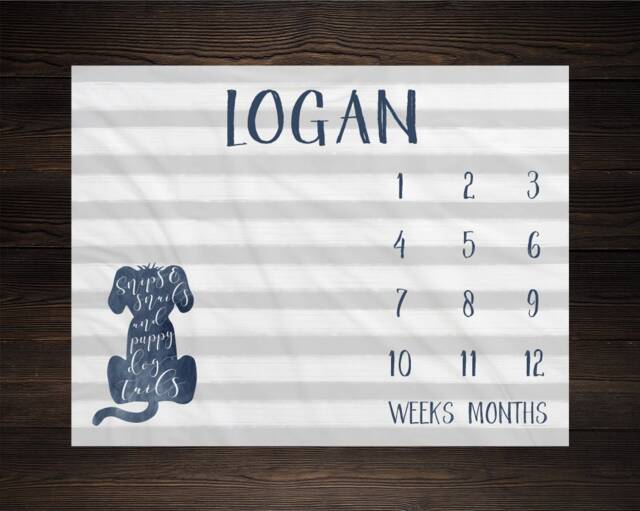 Baby Milestone Blanket Monthly Growth Tracker Snips & Snails Puppy Dog Tails Minky Fleece Shower Gift Newborn - image 1