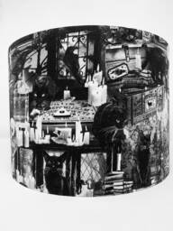 Black Magic Cats Lampshade Gothic Skulls Light Shade - thumbnail 1