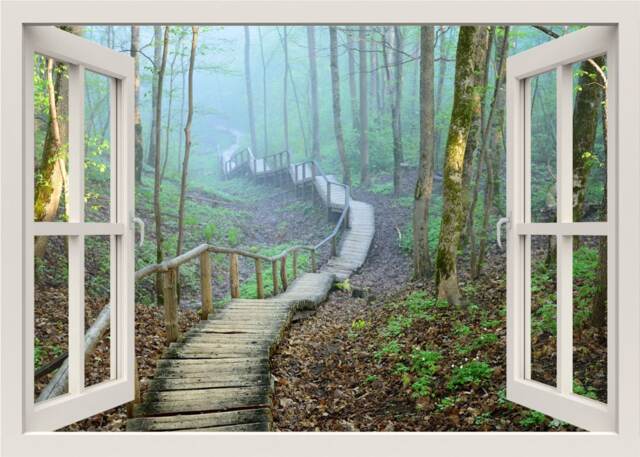 Bridge in A Forest Wall Decal, 3D Window View Mural, Frame, Nature Living Room Home Decor