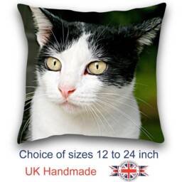 Black & White Cat Cushion, Pillow, Choice Of Sizes, Handmade - thumbnail 1