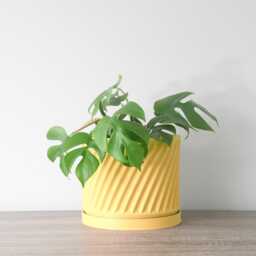 "Penelope Planter With Drainage & Saucer in Yellow, Unique 3D-Printed Plant Pot, Small To Large Sizes 4"" 5"" 6"" 7"" 8" - thumbnail 4