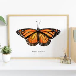 Monarch Butterfly Art Print - Danaus Plexippus Watercolor Fine Girls Nature Wall Home D??cor, Bedroom Prints Housewarming Gift - thumbnail 2